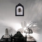 SIKOO Antique Distressed Ornate Floral Arch Picture Frame